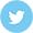 footer twitter icon