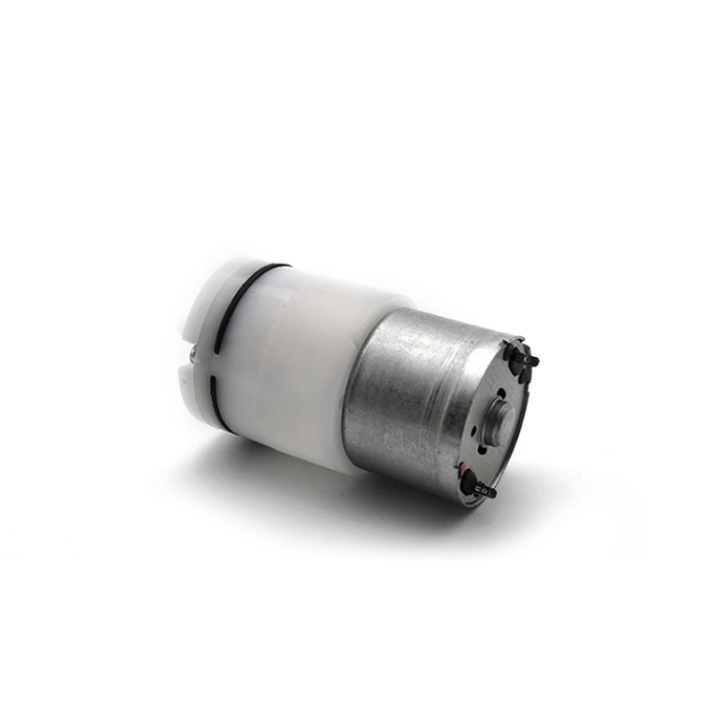 Hot Selling Micro Electric 6V 12V 24V Diaphragm Air Pump Air Motor For Medical Machine
