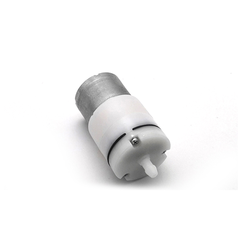 Hot Selling Micro Electric 6V 12V 24V Diaphragm Air Pump Air Motor For Medical Machine