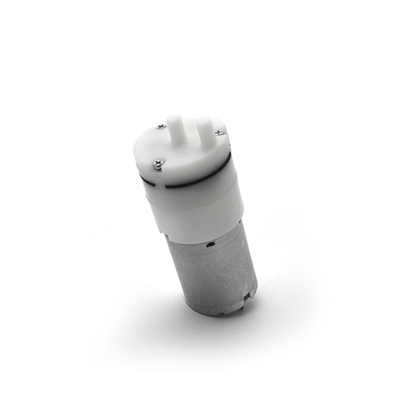 Wholesales Customized 12V Air Pump Beauty Machine Diaphragm DC Miniature Air Pump