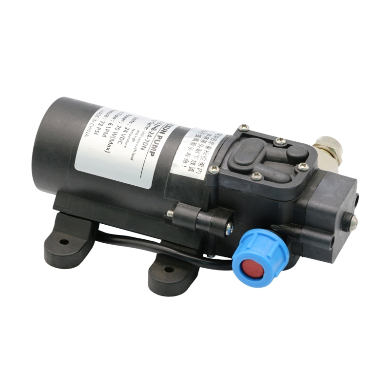 small 24 Volt DC water Diaphragm pump