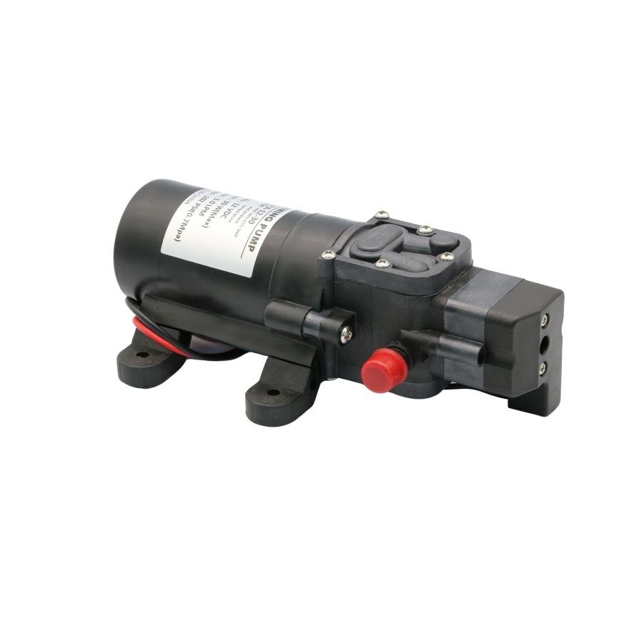 Factory whole sales 30W mini 12V 24V dc diaphragm water pump